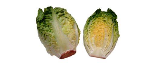 Cos Lettuce