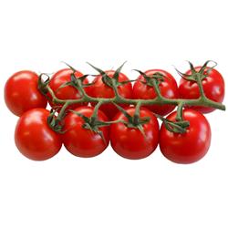 Large Tomatoes - branch (vine ripened