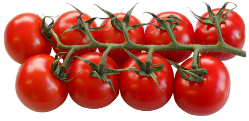 Large Tomatoes - branch (vine ripened