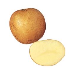 Local Potatoes (Sack) (25kg)