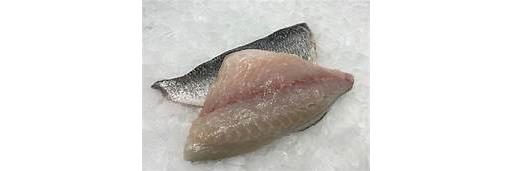 Fresh Sea Bream Fillet (Fish)