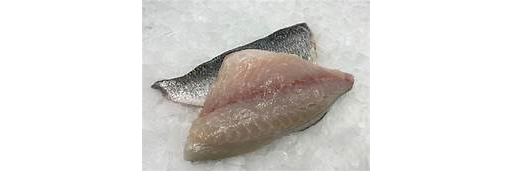 Fresh Sea Bream Fillet (Fish)