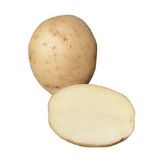 Buy Melody Potatoes - Shropshire's Own