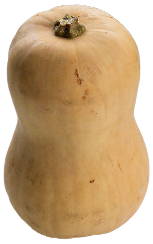 Butternut Squash