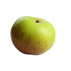 Bramley Cooking Apple