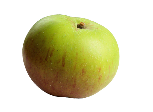 Bramley Cooking Apple