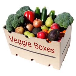 Fresh Fruit, Veg & Salad Box - X Large