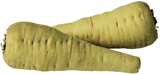 Parsnip