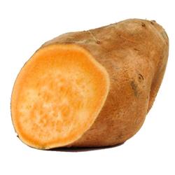 Sweet Potato