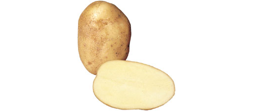 Wilja Potatoes