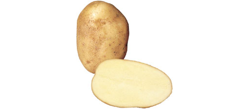 Wilja Potatoes - Half Sack (12.5kg)