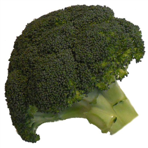 Broccoli