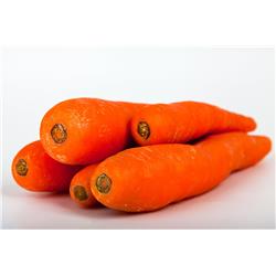 Carrot