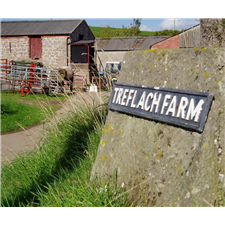 Treflach Farm