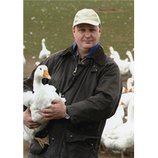 Brisbourne Geese