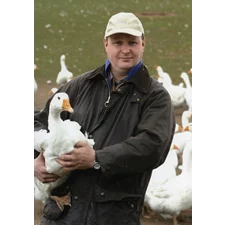 Brisbourne Geese