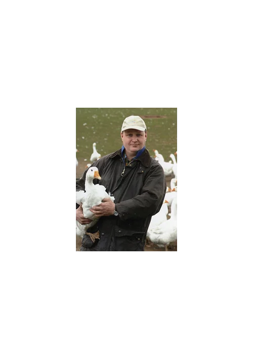 Brisbourne Geese