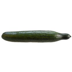 Cucumber