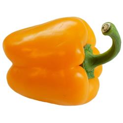 Yellow Pepper