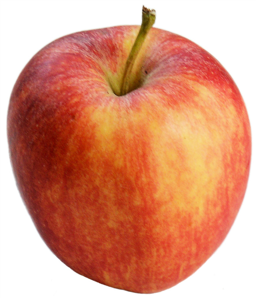 Gala Apples