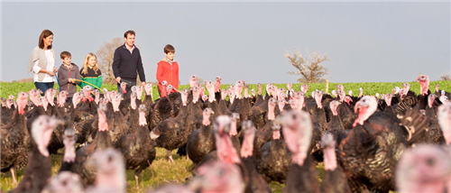 Home Farm Produce Ltd