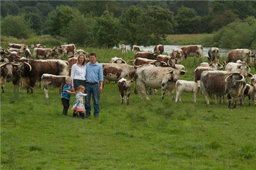 Great Berwick Organics