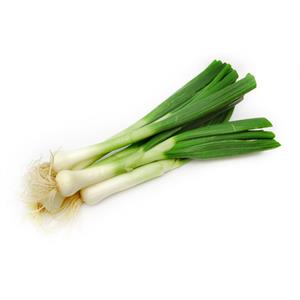 Spring Onions - bunch