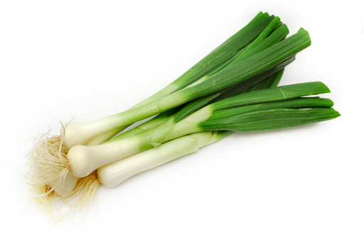 Spring Onions - bunch