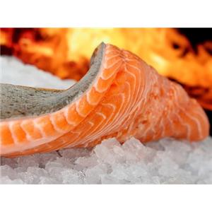 Salmon Fillet (Fish)
