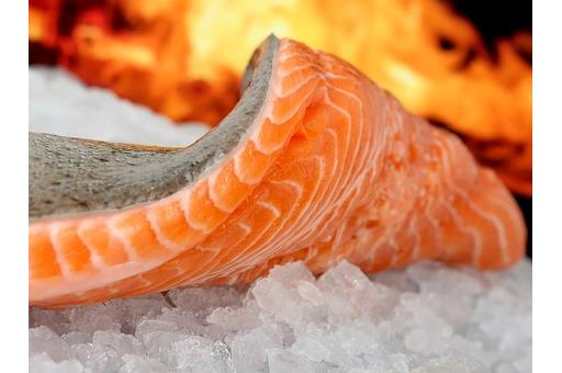Salmon Fillet (Fish)