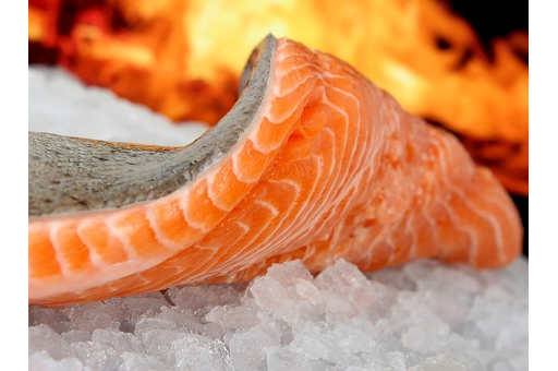 Salmon Fillet (Fish)