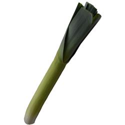 Leek