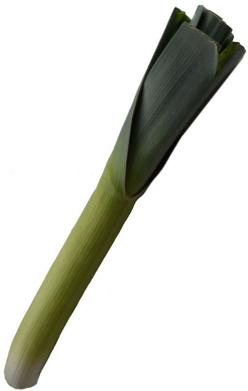 Leek