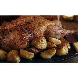 Whole Fresh Duck
