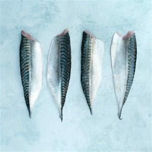 Fresh Mackerel Fillet (Fish)