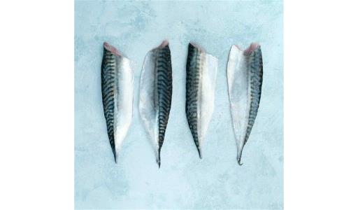 Fresh Mackerel Fillet (Fish)