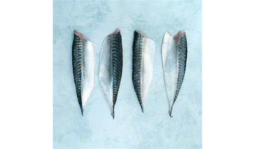 Fresh Mackerel Fillet (Fish)