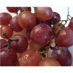 Red Grapes